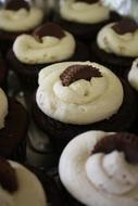 creamy chocolate cupcakes