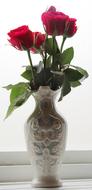 gorgeous roses in a vase