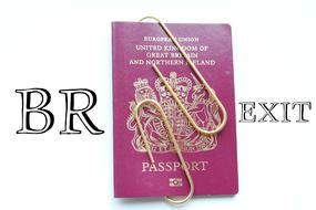 Brexit Passport Control