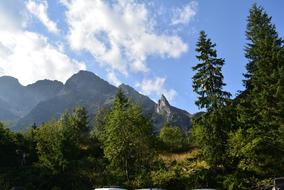 mountain scenery in the forest