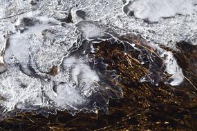 Ice Stream Winter
