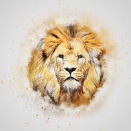 lion animal head portrait art