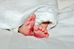 Cute feet of the baby, in white blanket