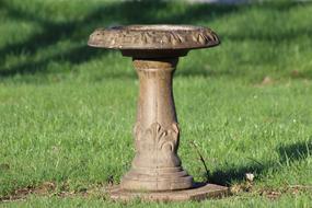 Birdbath Water