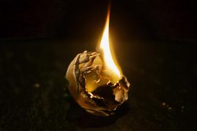 Fire Flower Flame