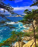 Coastline Ocean Cliffs