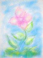 Drawing Flower