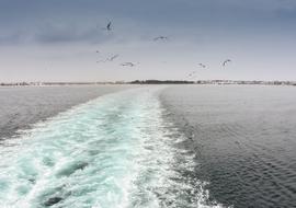 road of waves from a boat