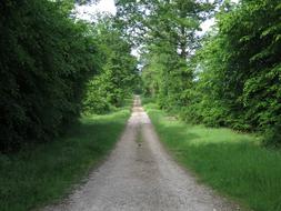 Trail Hiking