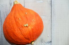 fall delicious pumpkin