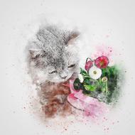 cat grey pet flowers art abstract