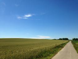 Landscape Paradise