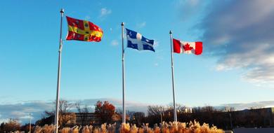 Flag Canada Quebec