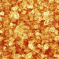 bright orange scrapbooking paper