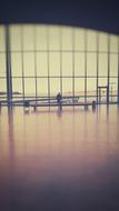 distant view of a lonely man in a terminal