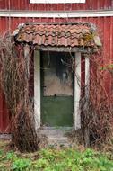 Old Door Red house