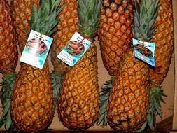 pineapples on sale