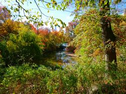 Newyork Usa Brooklyn