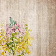 Colorful and beautiful flowers with leaves on the vintage paper, clipart