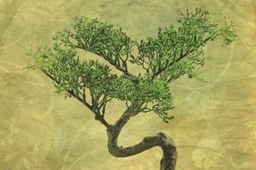 Beautiful, vintage drawing with the bonsai tree at background with shapes, clipart