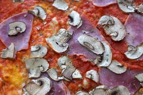 tomato pizza with mushrooms