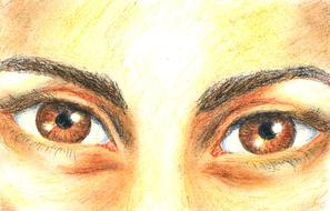 brown female eyes closeup, drawing