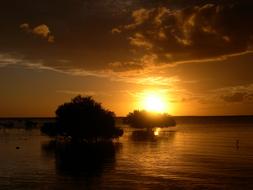 Sunset Trees Sea