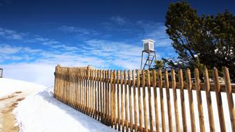 Fence Perch Snow
