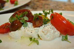 appetizer with vegetables and mozzarella