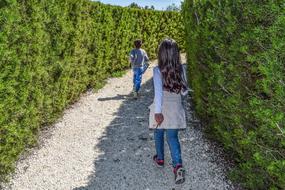 Kids, walking in the beautiful maze, among the colorful plants, in sunlight and shadows