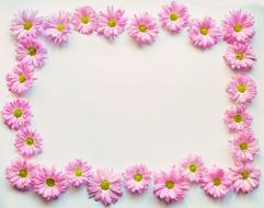 framed flowers