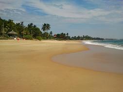 Hikkaduwa Sri Lanka Beach