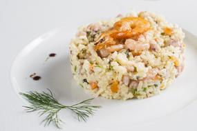 rice salad with shrimp