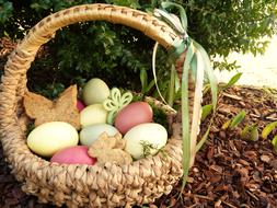 Easter Nest Eggs Colored