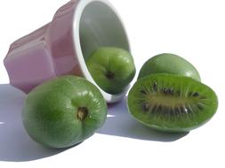 pureed kiwi fruit