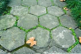 Bluestone Plate Road Green