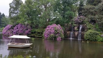 flowers by the water