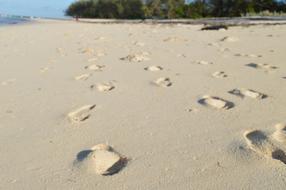 Footsteps Sand Beach
