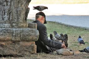 man with birds
