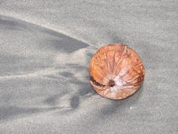 Coconut Beach Sand