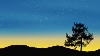 landscape of sunset sky stars background