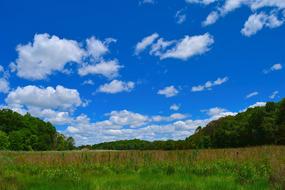 fair weather in the field