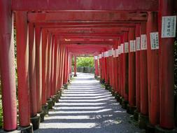 Japanese arches in the park