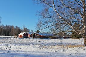 Snowy countryside Winter landscape