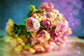 rose bouquet home