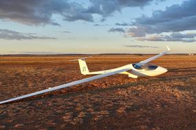 Glider Wings Sailplane