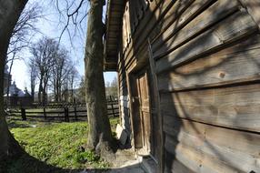 Wooden building among the plants, under the blue sky