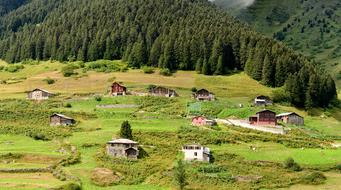small houses on a hill