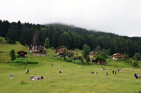 small houses on a hillside with people