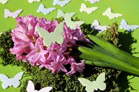 bouquet of flowers on the grass